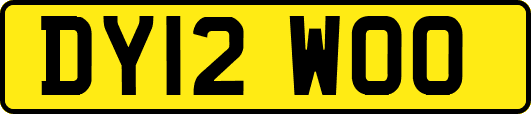 DY12WOO