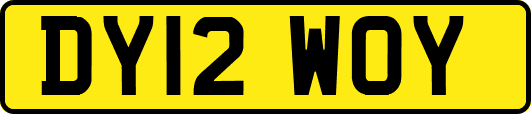 DY12WOY