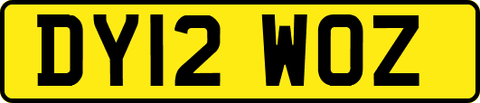 DY12WOZ