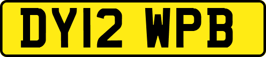DY12WPB