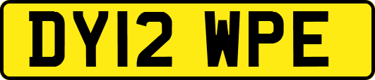 DY12WPE