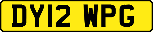 DY12WPG