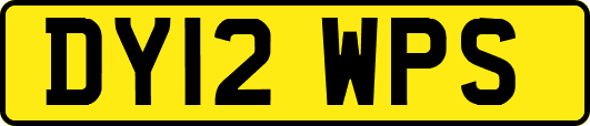 DY12WPS