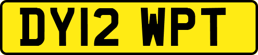 DY12WPT