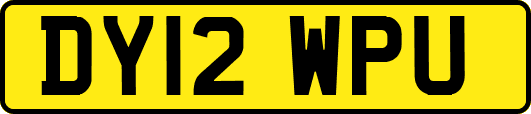 DY12WPU