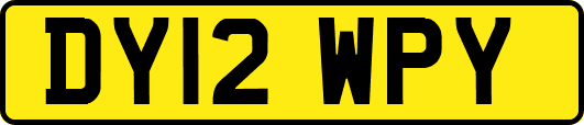 DY12WPY
