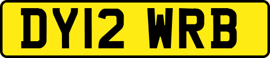 DY12WRB
