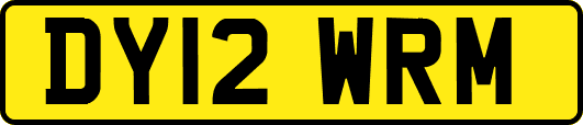 DY12WRM