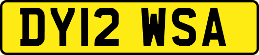 DY12WSA