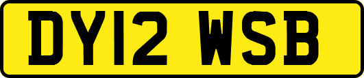DY12WSB