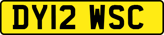 DY12WSC