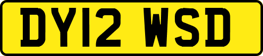 DY12WSD