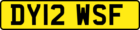 DY12WSF