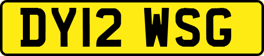 DY12WSG
