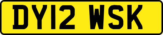 DY12WSK