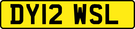 DY12WSL