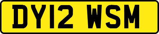 DY12WSM
