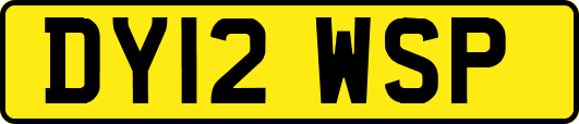 DY12WSP