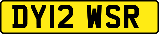 DY12WSR