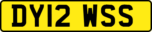 DY12WSS