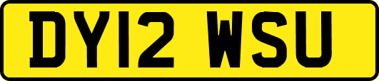 DY12WSU