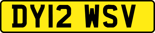 DY12WSV