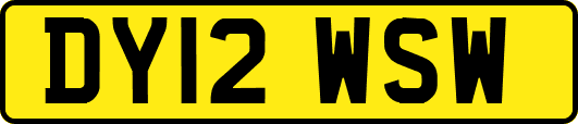 DY12WSW