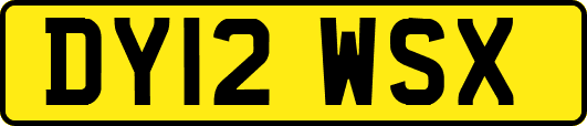 DY12WSX