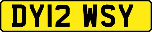 DY12WSY