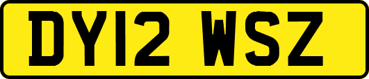 DY12WSZ