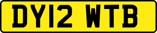 DY12WTB