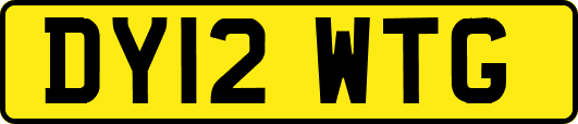 DY12WTG