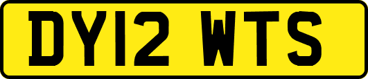 DY12WTS