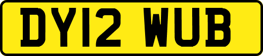 DY12WUB