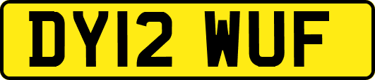 DY12WUF