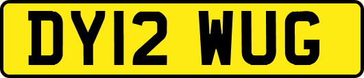 DY12WUG