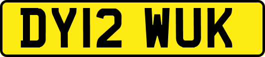DY12WUK