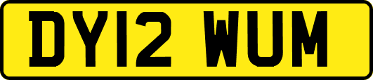 DY12WUM