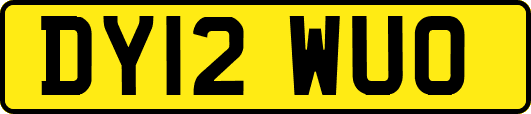DY12WUO