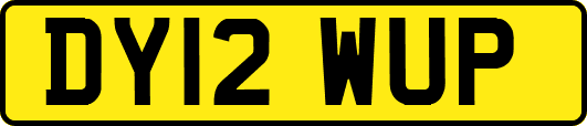 DY12WUP