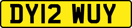 DY12WUY