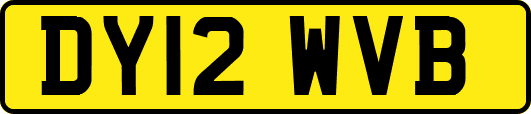 DY12WVB