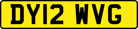 DY12WVG