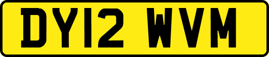 DY12WVM