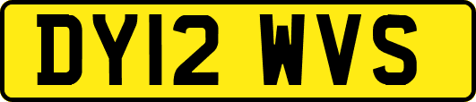 DY12WVS