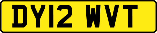 DY12WVT