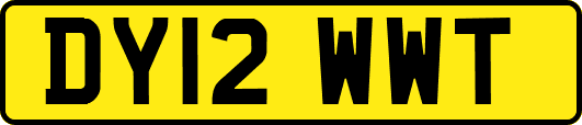 DY12WWT