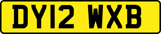 DY12WXB