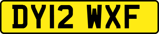 DY12WXF