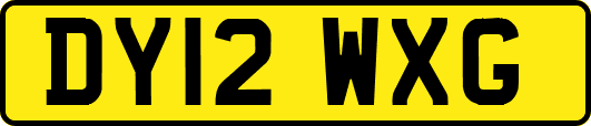 DY12WXG